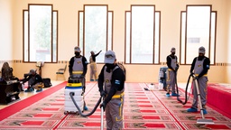 صورة القسم